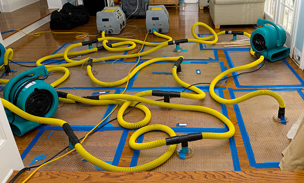 Professional Basement Flood Cleanup technician working in Bon Aqua, TN